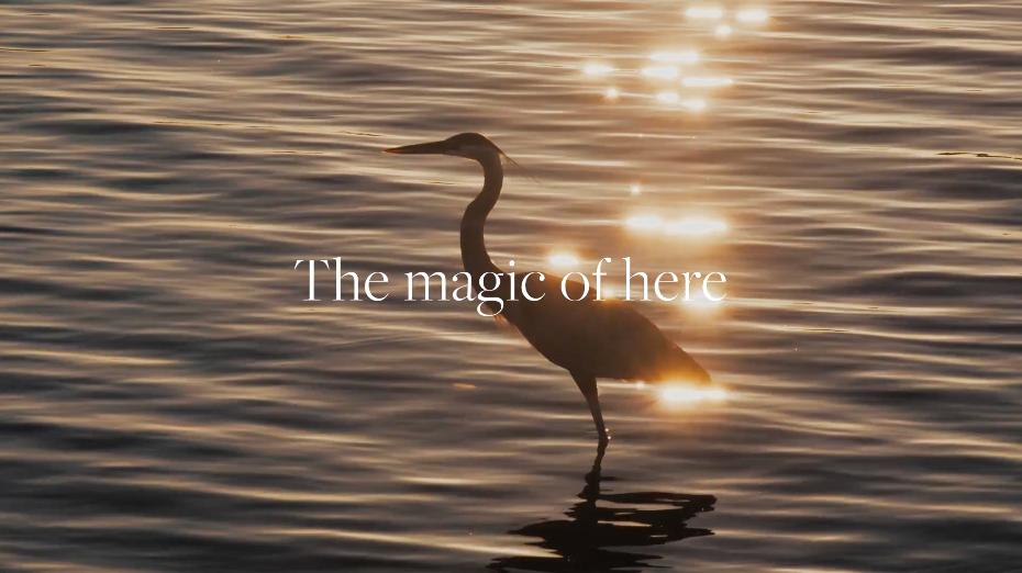 Milestones Thumbnail